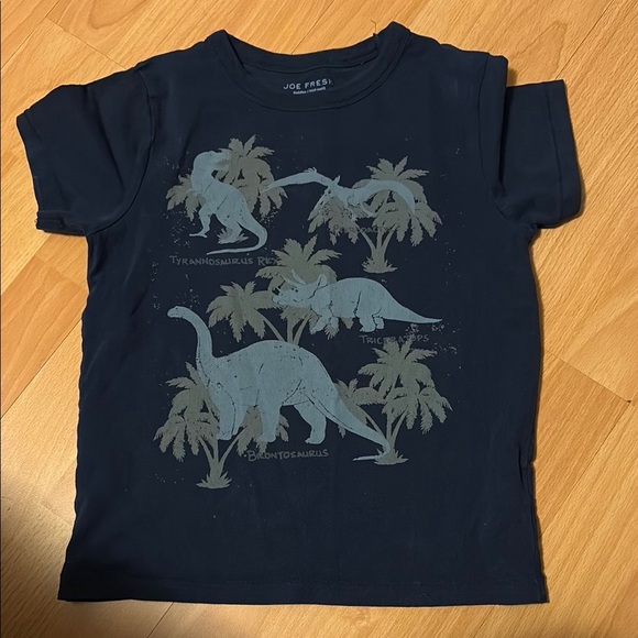 Kids T-Shirt size 5-/6 bundle - dinosaurs, the flash, Ironman - Picture 6 of 7
